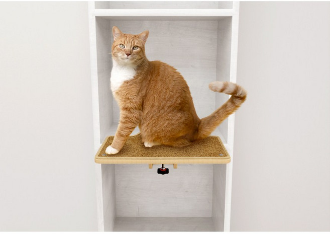 큐브플래닛 고양이 선반 - 캣타워 고양이선반 캣선반 책장캣타워, 선반_, 아이보리, 1개