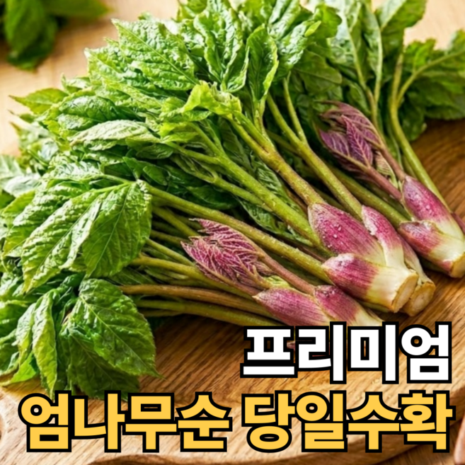 [100박스특가] 자연산 엄나무순 개두릅 국내산, 1kg, 1박스