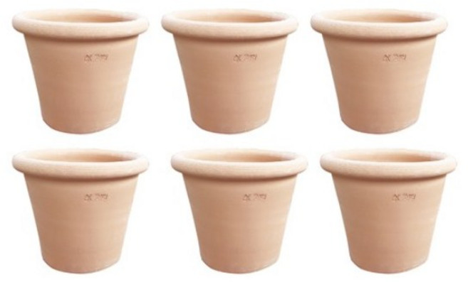 금란의정원 국산 턱로즈 40번 6개 (다이어리 증정)