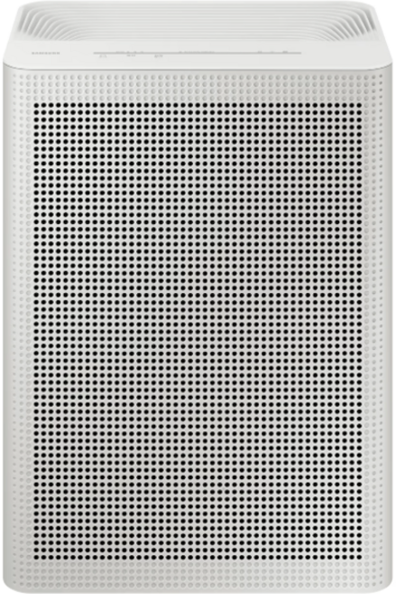 삼성전자 블루스카이 3100 공기청정기 33.1㎡, AP70F03102RVD, 그레이지 + 빅토리 그레이