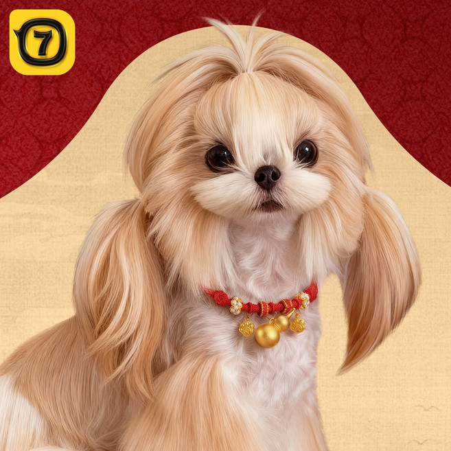 강아지인식표 애완용 행운 목걸이, 1개, 붉은색A