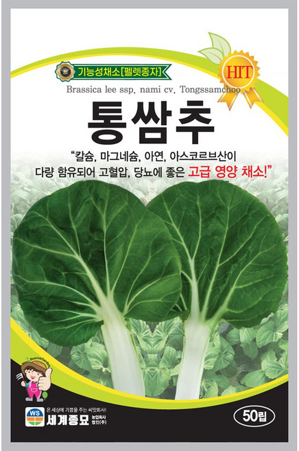세계종묘 통쌈추 씨앗 50립, 1개