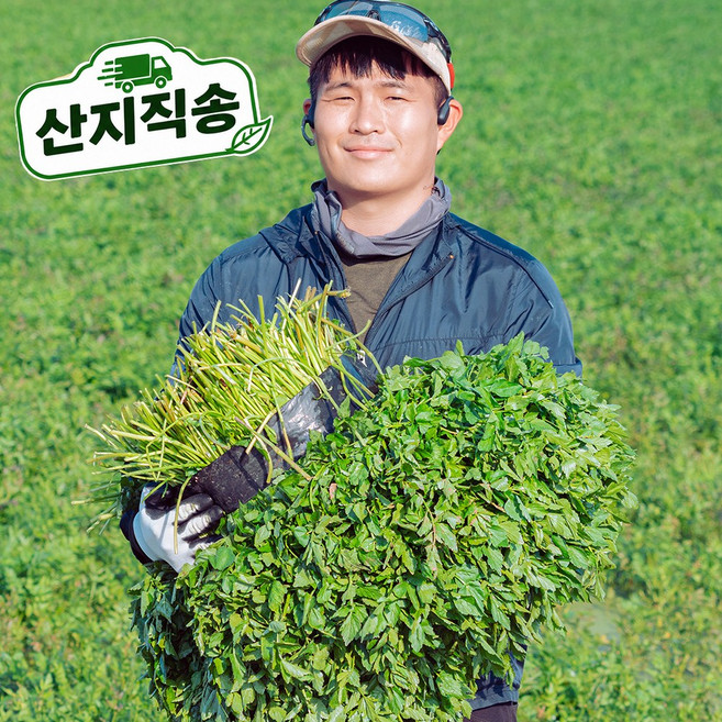 토해원 국내산 향긋한 정읍 무등산 돌미나리 1kg 2kg 4kg, 1박스