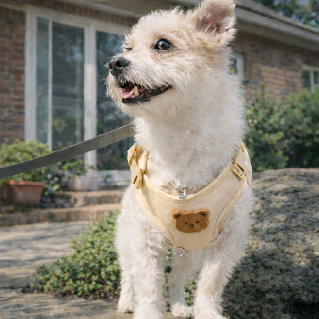 미르아 우리멍멍 목 조임 없는 안심산책 하네스 리드줄, 1개, 베이지