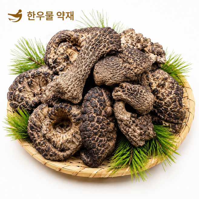 한우물 약재 건조 능이버섯 100g 삼계탕 재료, 1개, 190g