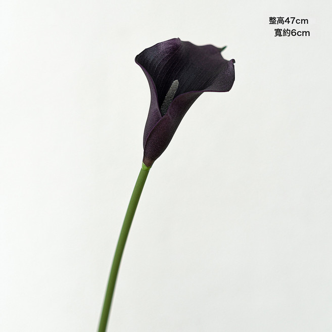 跨境馬蹄蓮EVA手感高品質家居仿真花插花婚慶手捧花假花裝飾批發, 1件, 紫黑EVA小號馬蹄蓮:1個