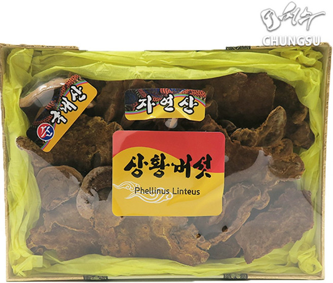 청수생약 국내산 자연산 상황버섯 500g 선물세트, 1개