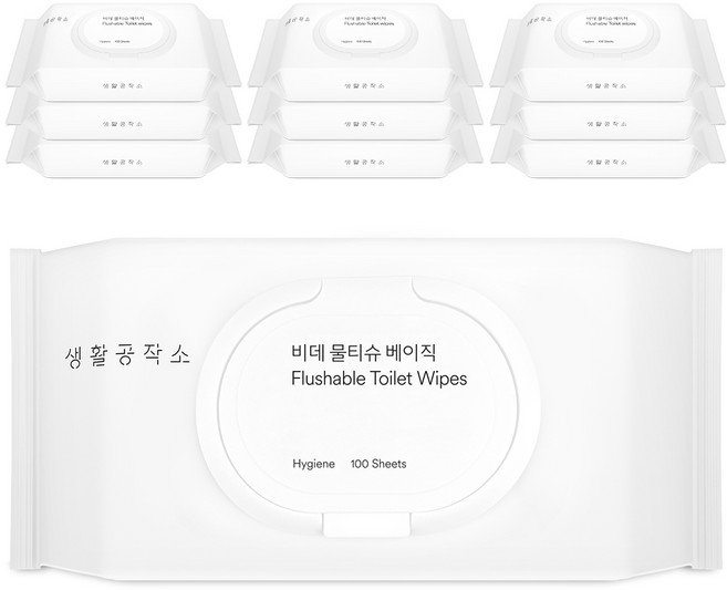 생활공작소 비데물티슈 베이직 캡형, 100매, 10개