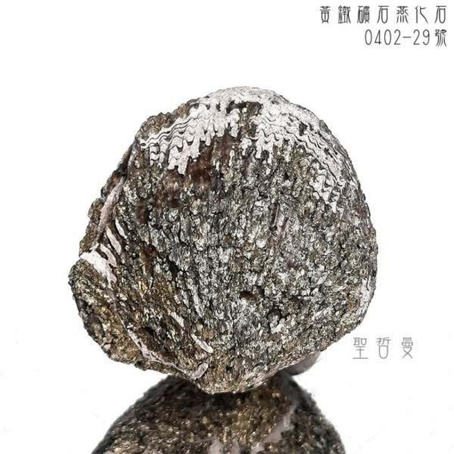 黃鐵礦石燕化石0402-29號 對應海底輪 & 太陽輪 & 眉心輪 能量擺件