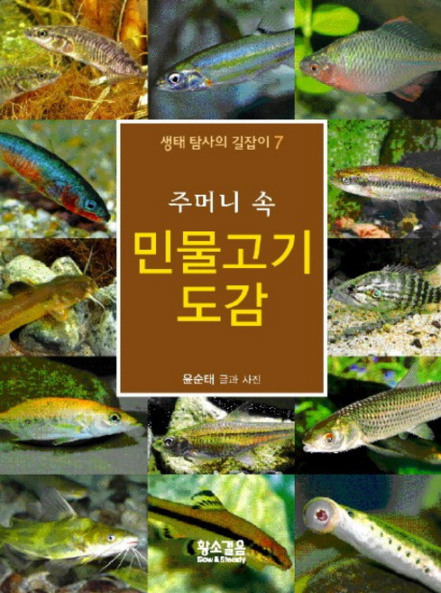 주머니속민물고기 도감, 황소걸음, 윤순태 글,사진