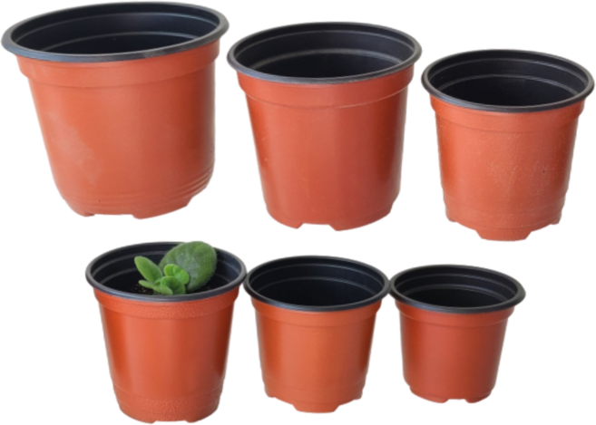 <국내생산 여기서> 이색포트 낱개 1개 이색화분 연질화분 모종화분 7cm 8cm 9cm 10cm 11cm 12cm 13cm, 빨강