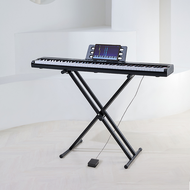 디에스뮤직 해머건반 88건반 전자 디지털 피아노 DS-88026 + 스탠드 + 서스테인 페달 세트, 블랙, 1개