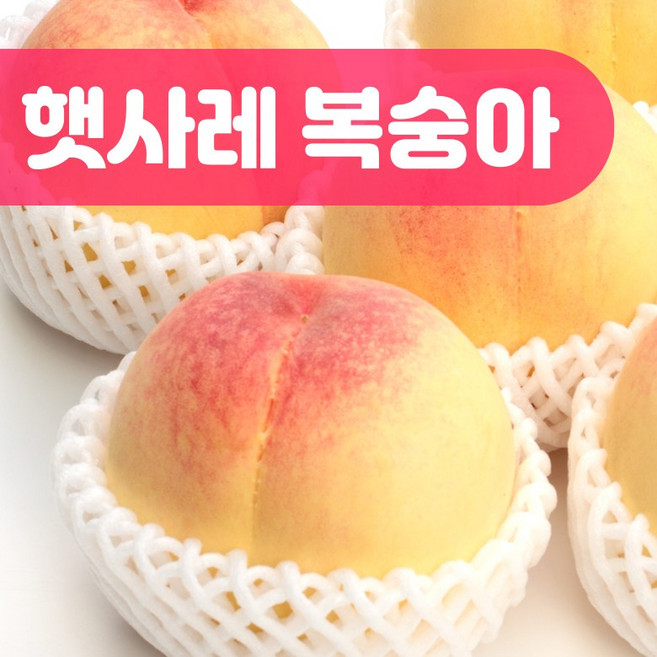 6위 - [아삭하고 달콤한] 햇사레복숭아 음성 감곡 장호원 백도 황도 부드러운 딱딱 복숭아 중과 대과 3kg 4kg,