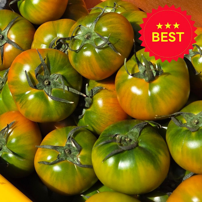 (대저농협인증) 사계절농장 대저 짭짤이 토마토 정품, 1박스, 2.5kg 소과 S