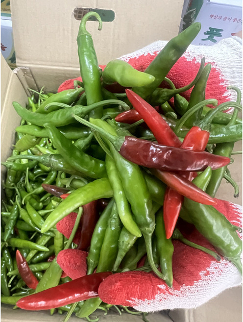 국내산 반홍 청양고추 혼합 당일경매 신속배송 1kg 5kg, 청양혼합 1kg, 1개