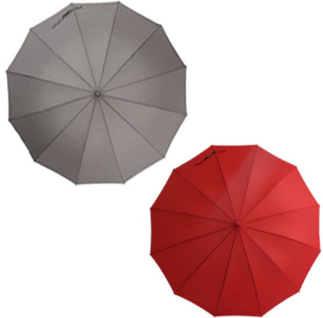 카르페디엠 까르페디엠 무지 장우산 2개