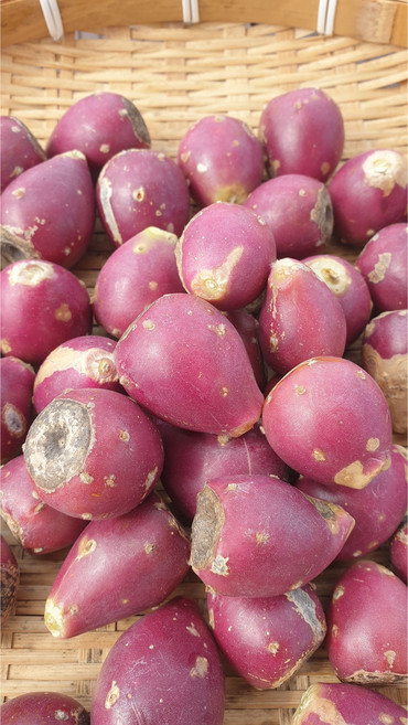 백년초 열매 제주 한번세척한 백년초 열매 생과 열매 1 키로, 1kg, 1개