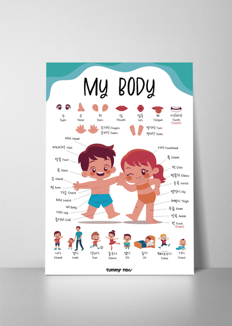 한글포스터 심플 자음 학습표 유아 아기 학습 벽보 방수포스터 병풍 엄마랑벽그림 A3, A2(중형), 26.나의 몸