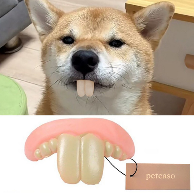 강아지 그릴즈 가짜 이빨 모형 애견 코스프레 할로윈 촬영 소품 귀여운 무서운 웃긴 코스튬