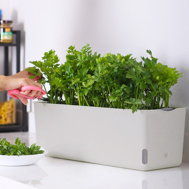 도매토피아 프레시가든 자동급수 화분, 1개