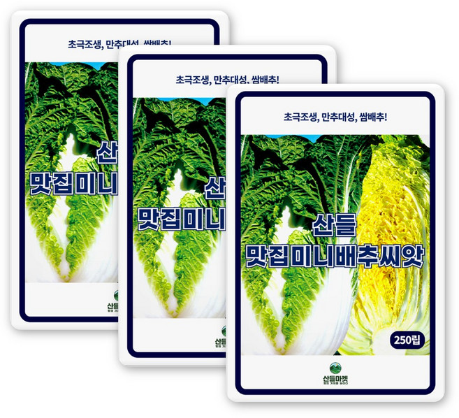 산들 맛집미니 배추 씨앗 250립 초극조생 봄 가을 알배기 쌈배추씨 종자, 3개