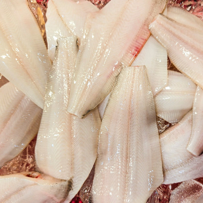 생물 미주구리 기름가자미 세꼬시 물 회 무침 자연산, 1개, 1kg(손질미주구리)