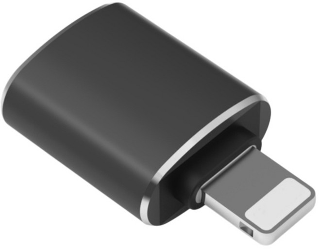蘋果Apple iPhone/iPad OTG轉接頭轉接器 高速傳輸 隨插即用 擴展設備功能, 黑色, 1個, 31.4mm