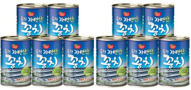 동원 자연산 꽁치, 10개, 300g