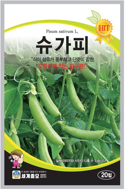 슈가피 20립 세계종묘 슈가피 완두콩, 1개