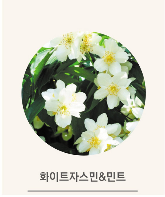 나노센트 아로마 스마트 디지털 디퓨저 오일 향 / 집들이 개업 새해 친구 부모님 결혼 생일 선물/어버이날 축하 선물, 화이트 자스민 민트, 1개