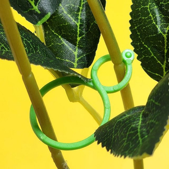 SFr 8자 식물 고정 타이 식물고정 식물고정타이 식물고정케이블 실물고정끈 식물고정클립+커머스연구소Shop, 빠른배송