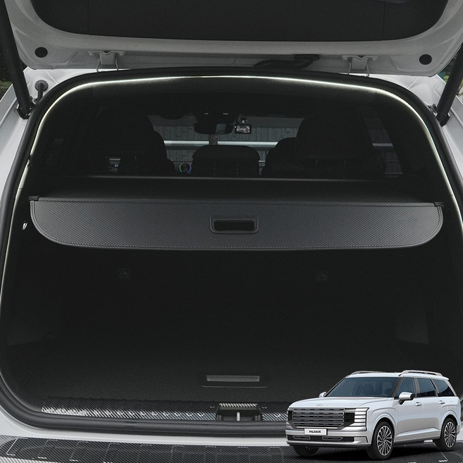 윙가디움 차량용 러기지 스크린 튜닝 악세사리 용품 카본 스타일