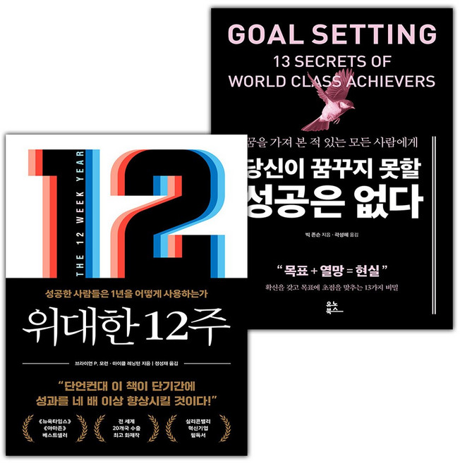 위대한 12주+당신이 꿈꾸지 못할 성공은 없다 세트