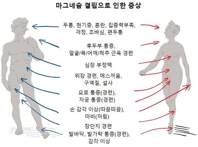 마그네슘 신경과 근육 유지엔 마그네슘 에너지 이용에 필요 건강기능식품 건강 면역 항염증 항산화 항노화 기억력 수면 인지력 감기 부모님 비타민 공부 학생 출근 학교 야근 미팅 피로, 1박스, 60정