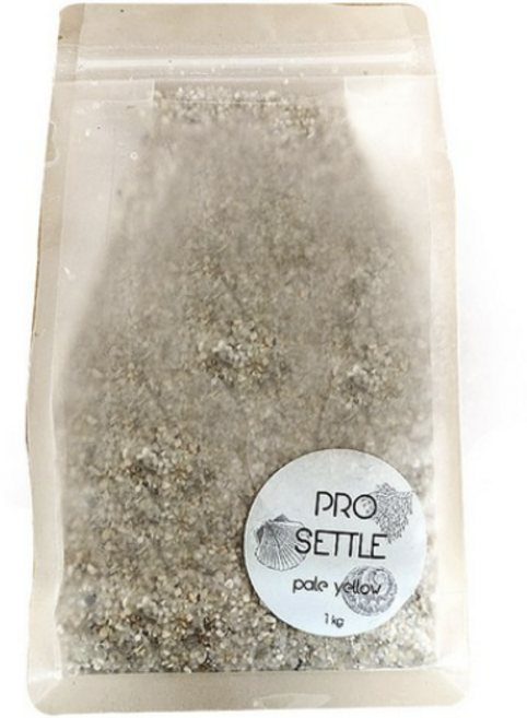 세틀 프로 바닥재 1kg, PALE YELLOW, 1개