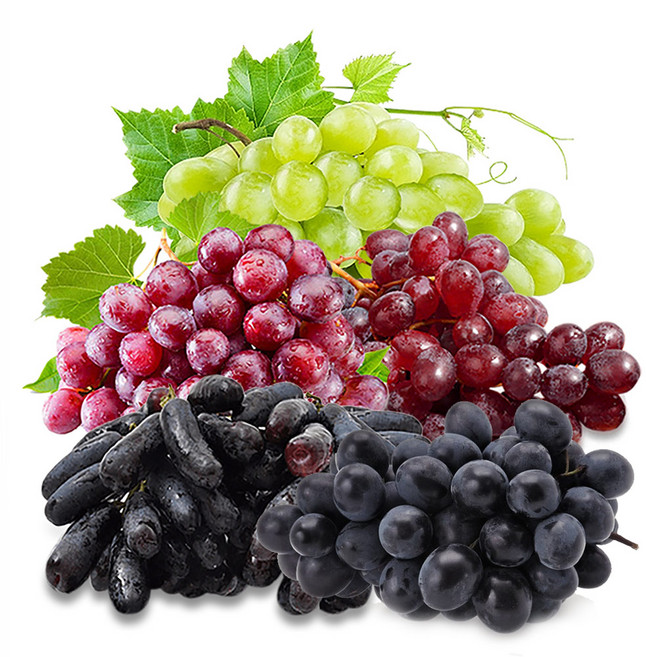 [오렌지씨] 껍찔째 먹는 고당도 포도, 1개, 크림슨 적포도 1kg