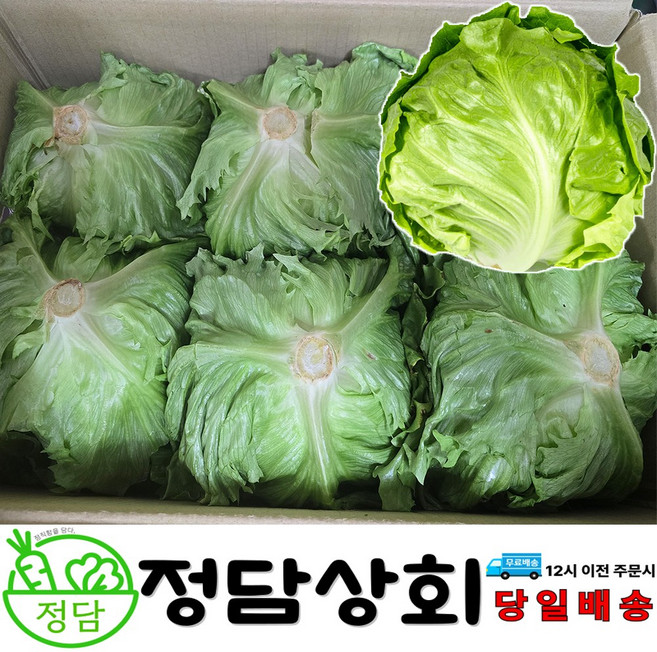 [ 정담상회 ] 국내산 양상추 업소용 벌크 6통 12통, 6개, 400g