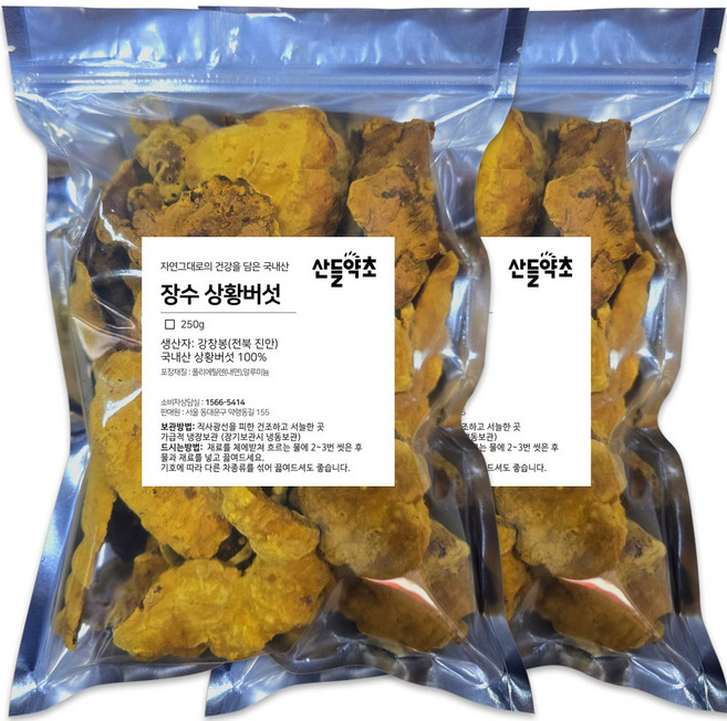 프리미엄 국산 장수 상황버섯, 국산 상황버섯 500g, 1개