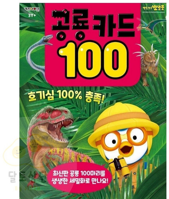 신기한 낱말카드 놀이카드 영어카드 학습카드