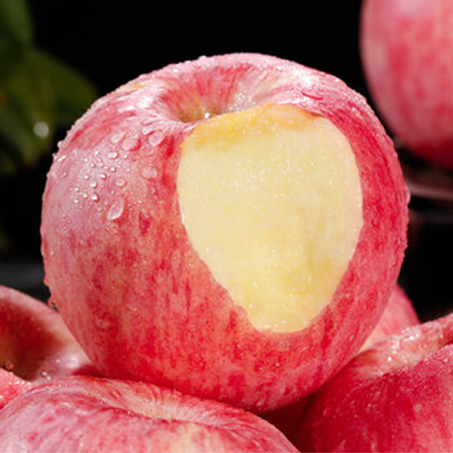 [노마진특가] 하루20박스 가정용 꿀사과 부사사과, 1박스, 8kg (48과내외)