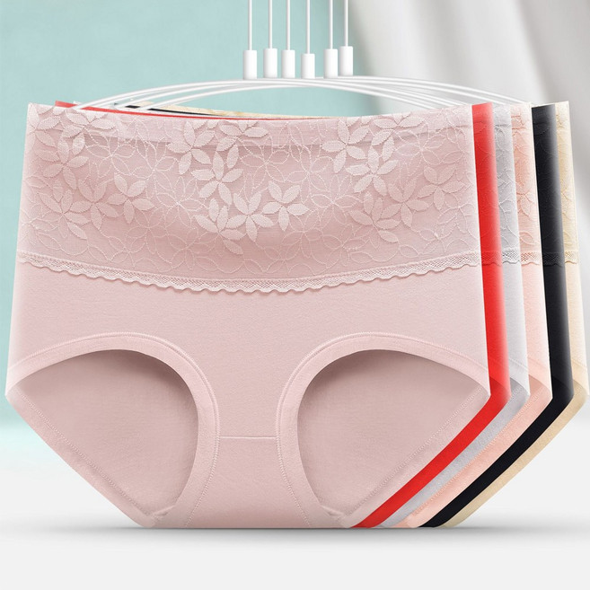 스콩 여성 레이스 하이웨스트 면 팬티 5종 세트