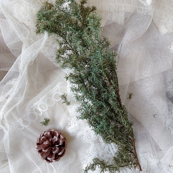 萬穗瞳花藝資材工作室 天然乾燥雪松 聖誕花圈素材 聖誕節裝飾材料, 1個, 小份-綠油油, 綠油油