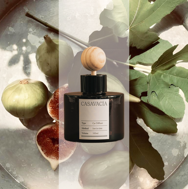 카사바시아 남자 여자 차량용 방향제 디퓨저 카 자동차, FEY 9, 1개