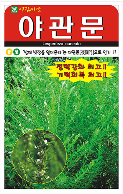 아람 야관문 씨앗 20g, 2개