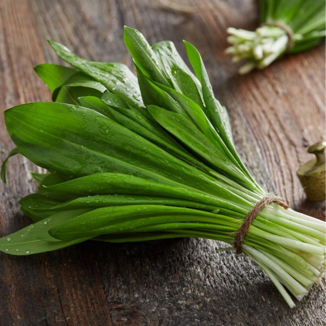 강원도 생 명이나물 대명이 산마늘 울릉도종, 3kg, 1박스