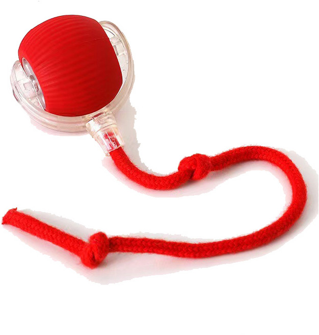 오브펫 고양이 혼자노는 자동 스마트 볼 장난감 로프, 빨강, 1개, P02