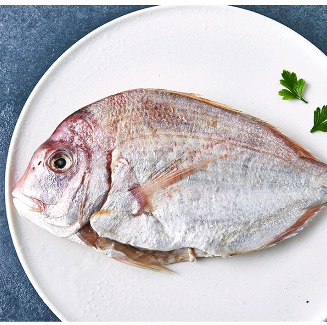 [제주어부] 100% 제주 황돔 도미 <초가성비+한정특가> 직접 경매 제수용, 3개, 200g