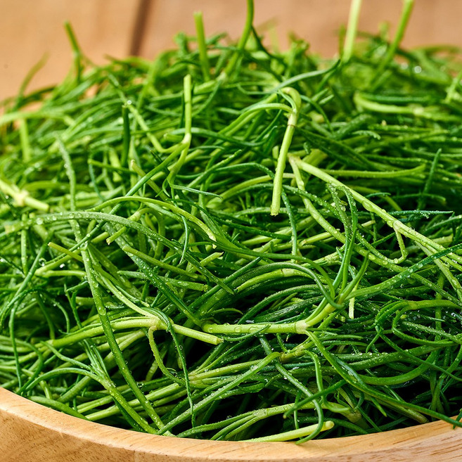 자연진리전남 무안 세발나물 갯나물 1kg 2kg 3kg, 1개