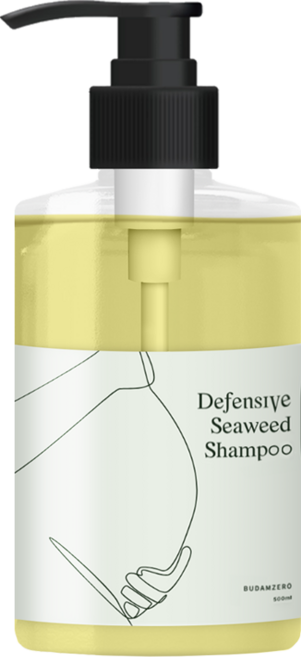 부담제로 임산부 샴푸 500ml, 1개