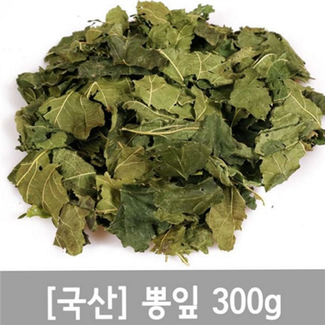 국산 뽕잎 건재 뽕잎 무농약 식용 차용